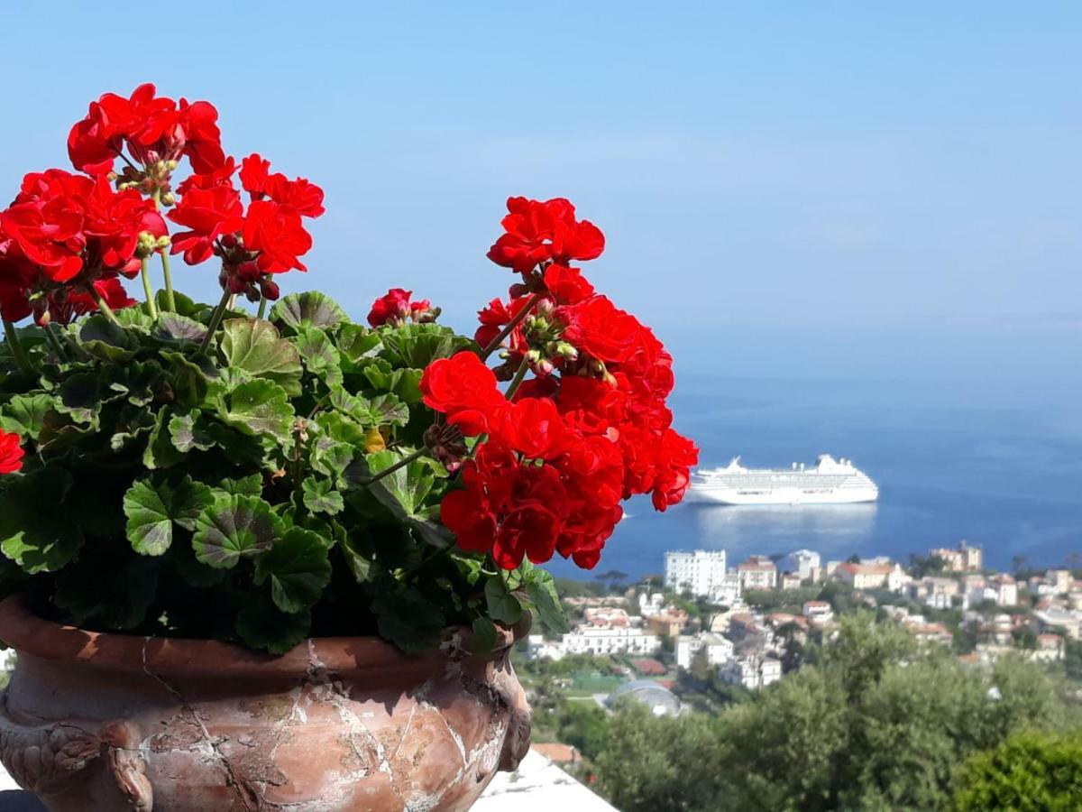 Le Muse Suite Sorrento Eksteriør bilde