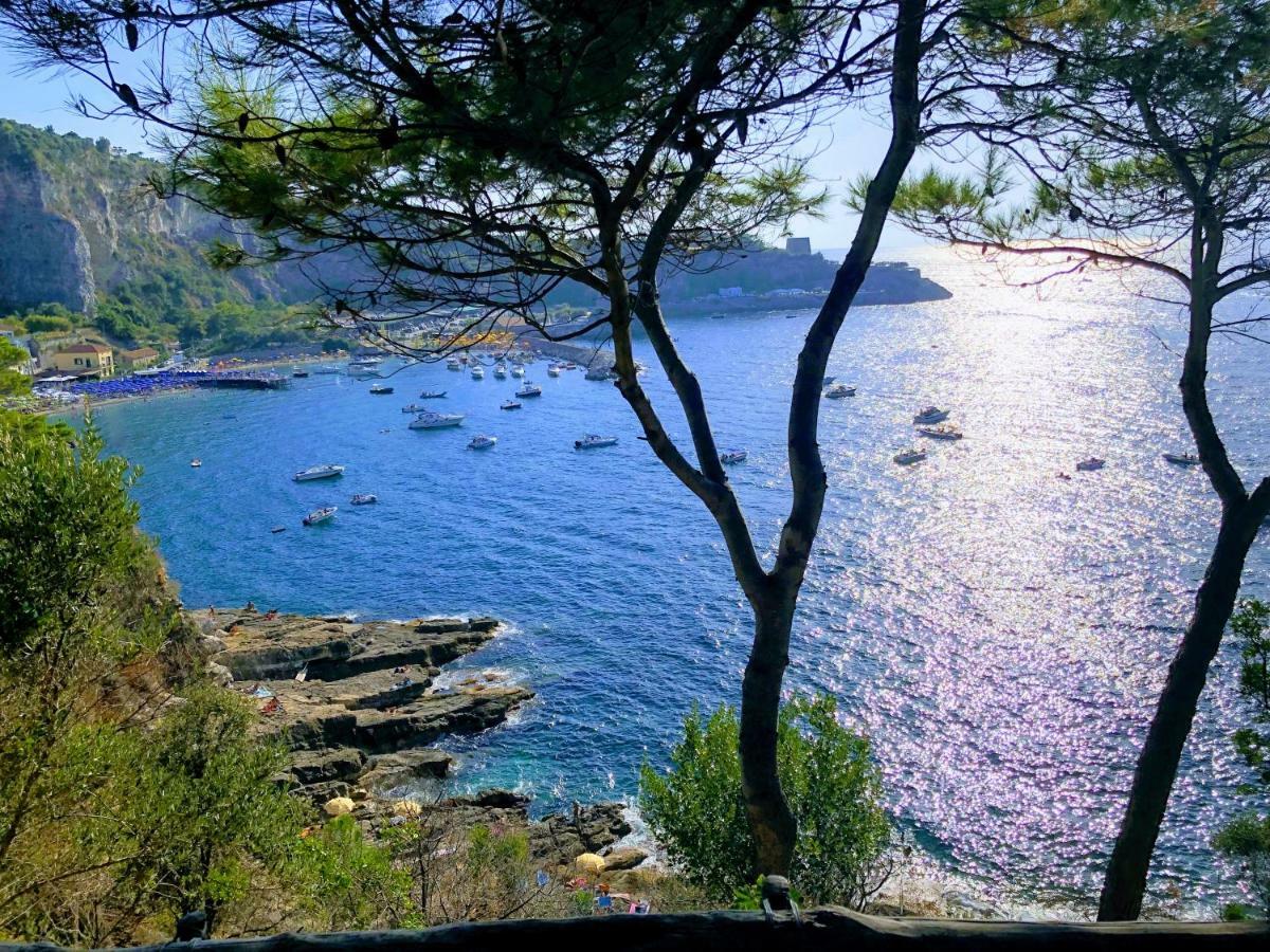 Le Muse Suite Sorrento Eksteriør bilde