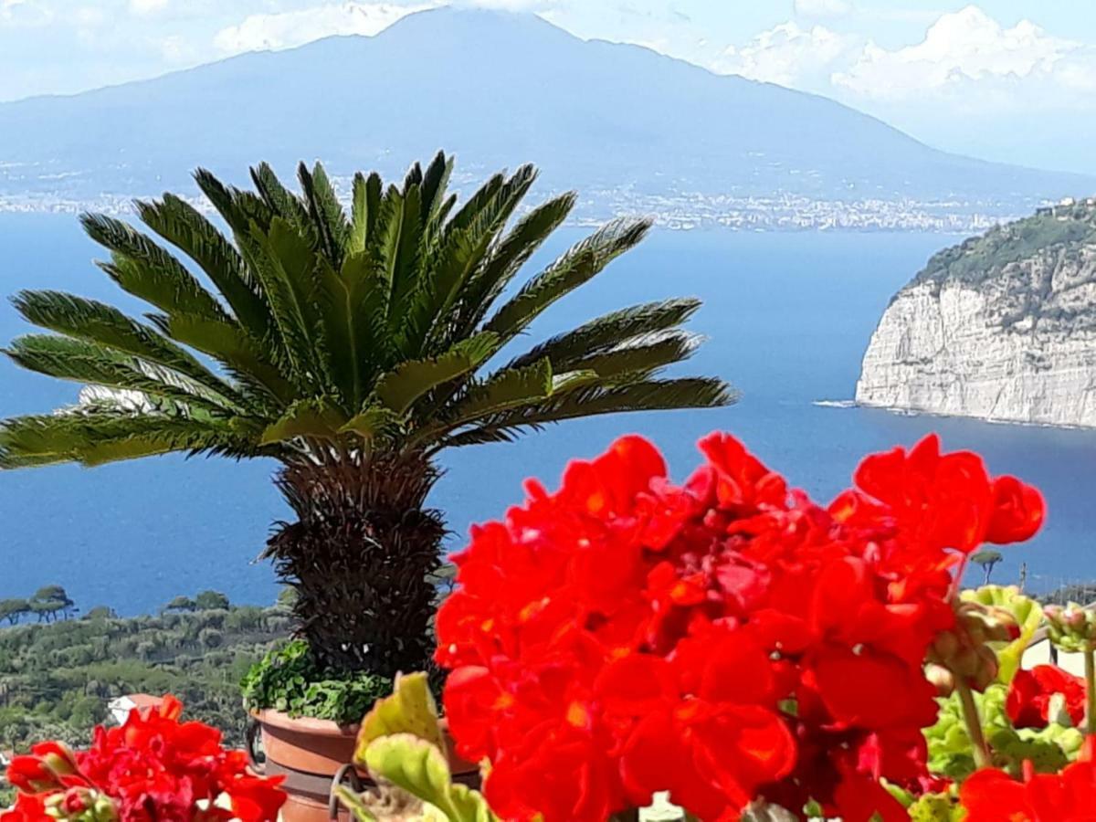 Le Muse Suite Sorrento Eksteriør bilde